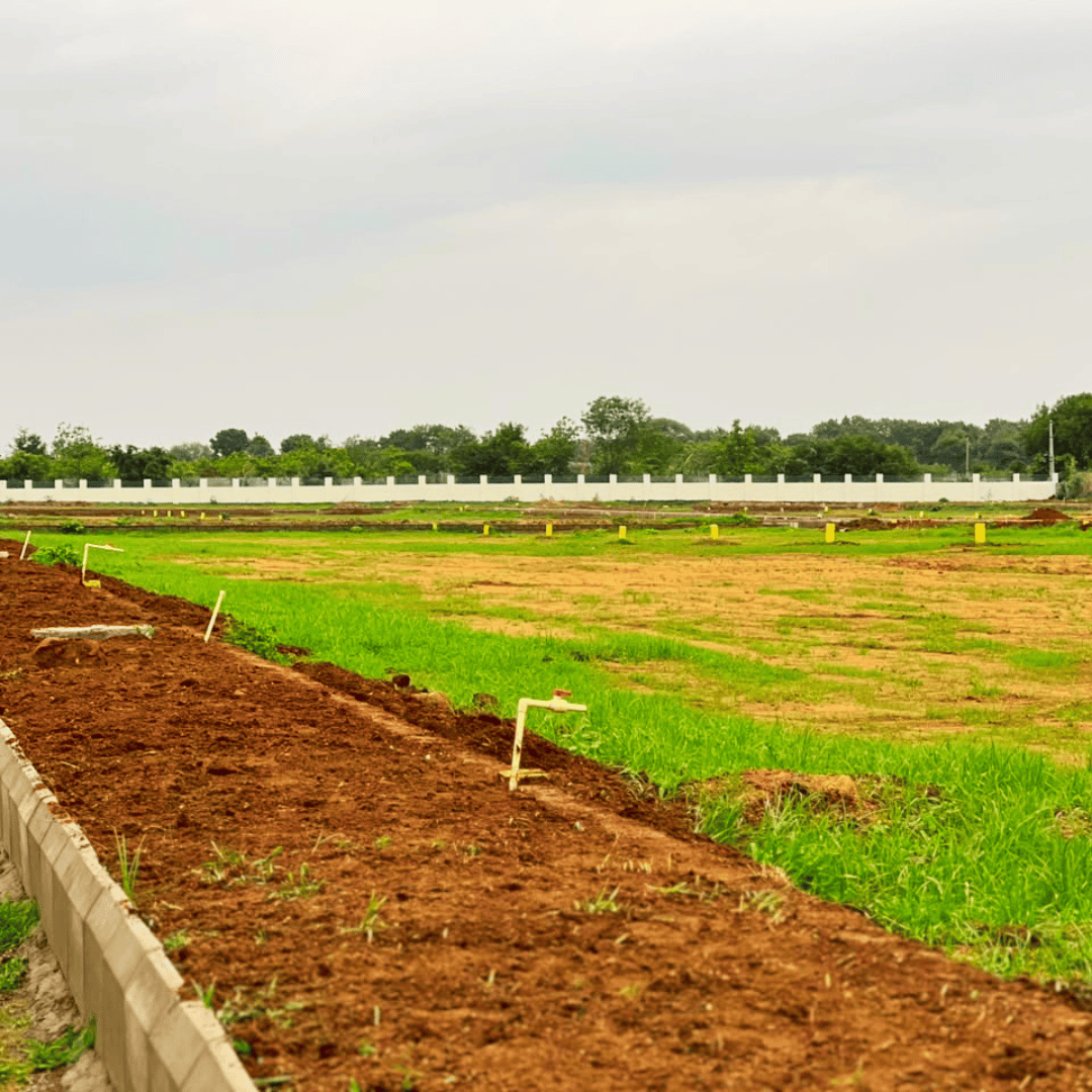 Mayuka Estates